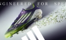 Ƶٽ,  ǵ F50 Ʈ  