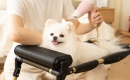 ٸ  ̵ ϰ ľ䡦    ̿ⱸ ׷롯 
