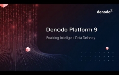 Denodo Platform 9.2,   AI  Ǵ   ÷̽  