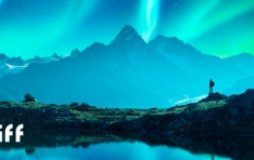 IFFs 2024 Do More Good Report Highlights Progress in Sustainability and Innovation
