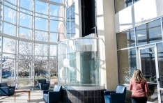 Curia ��� �Ǿ�ǰ ����ü�, �Ż��߼����� �������� ������ü�� ����