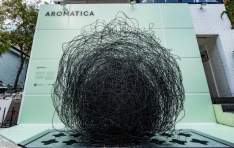 �� �÷��� ����, �Ʒθ�Ƽī�� �Ӹ�ī���� �����ϴ� ���� ���� ��ġ�̼� ���� ������