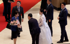 ����ȣ��, APEC ����ȸ�� �Ⱓ �ѱ��� ȯ�� ����