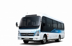 �����ڵ���, �ε��׽þ� ģȯ�� ���߱��� ���°� ���� ���� ������� ����