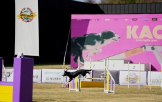 ����4ȸ KAO è�Ǿ�ʡ� ���ᡦ ������Ƽ ���ѹα� ��ǥ 14�� ����