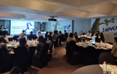 GC����� �����긻���ס� ���� ��Ī �������� ����