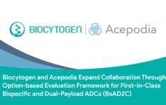 Biocytogen and Acepodia Expand Collaboration Through Option-based Evaluation Framework for First-in-Class Bispecific and Dual-Payload ADCs (BsAD2C)