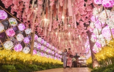 �ƿ��𸮾�, �ѹ� �ռ� ���� ���ϴ� ��ź�� �ϳ���ī �������� ���ص� ����