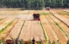 CGTN ���߱��� ��� ǳ���� ��ε��� ���� ������ �������� �����ϰ� �ֳ��� ����