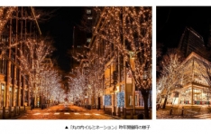 도쿄관광한국사무소, 겨울의 밤을 아름답게 수놓는 도쿄의 ‘일루미네이션 이벤트’ 소개