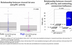 Japans First Discovery*1 on Visceral Fat and Immune Activity in Joint Research by Kirin Holdings and Kao